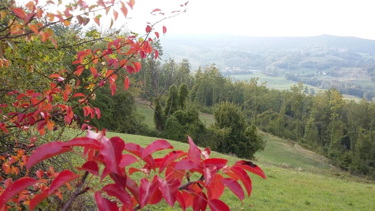 Uno Chalet Nel Bosco Villa Lama Mocogno Dış mekan fotoğraf