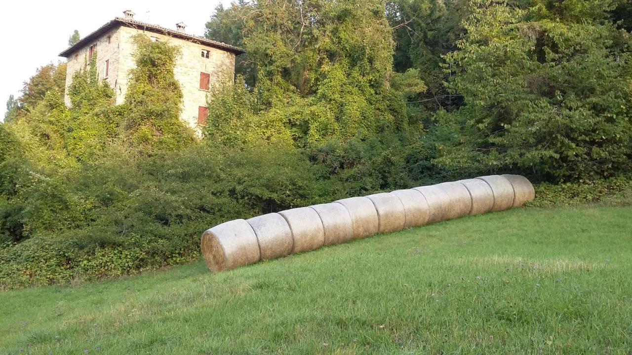 Uno Chalet Nel Bosco Villa Lama Mocogno Dış mekan fotoğraf